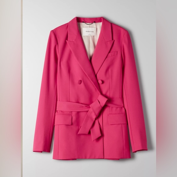 ARITZIA Babaton Blazer Size 10 - Picture 5 of 7